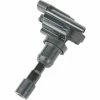 Ignition Coil - Delphi GN10385 2 Ignition Coil - Delphi GN10385 -Cheap Ignition Store DE GN10385 Ang