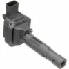 Ignition Coil - Delphi GN10451 2 Ignition Coil - Delphi GN10451 -Cheap Ignition Store DE GN10451 Ang
