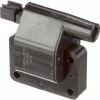 Ignition Coil - Delphi GN10509 -Cheap Ignition Store DE GN10509 Ang