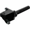 Ignition Coil - Delphi GN10676 -Cheap Ignition Store DE GN10676 Ang