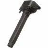 Ignition Coil - Delphi GN10684 -Cheap Ignition Store DE GN10684 Ang