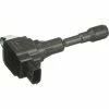 Ignition Coil - Delphi GN10844 -Cheap Ignition Store DE GN10844 Ang