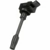 Ignition Coil - Delphi GN10861 -Cheap Ignition Store DE GN10861 Ang