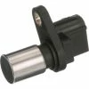 Engine Crankshaft Position Sensor - Delphi SS10902 -Cheap Ignition Store DE SS10902 Ang