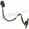 Engine Crankshaft Position Sensor, Walker Products 235-1316 -Cheap Ignition Store PXU O2235 1316