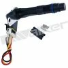 Engine Camshaft Position Sensor, Walker Products 235-91156 -Cheap Ignition Store PXU O2235 91156