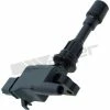 Ignition Coil - ThunderSpark Walker Products 921-2060