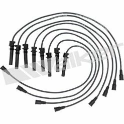 Spark Plug Wire Set, Walker Products 924-1660