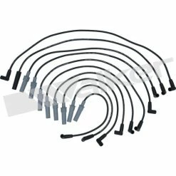 Spark Plug Wire Set, Walker Products 924-1800