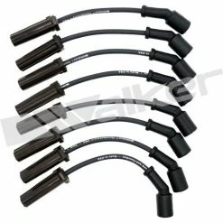 Spark Plug Wire Set, Walker Products 924-1829A