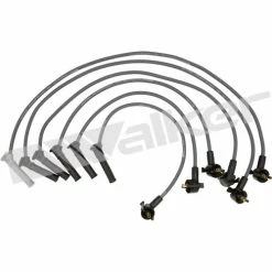 Spark Plug Wire Set, Walker Products 924-2083